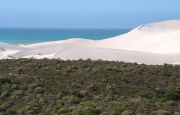 A dynamic system of sand dunes exists along this stretch of untouched coastline.
