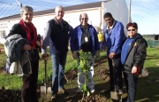 Planted fruit trees at Ons Huis Old Age Home in Bredasdorp